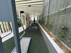 Mori (D14), Apartment #459506861